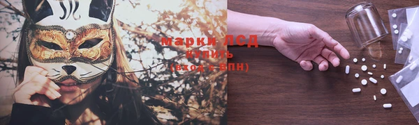 прущие грибы Богородск