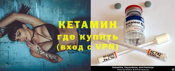 прущие грибы Богородск
