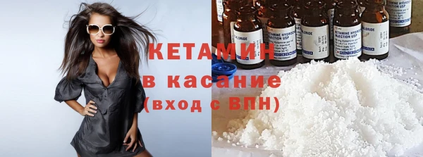 гидра Богородицк