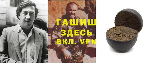 гидра Богородицк
