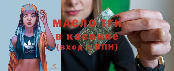 гидра Богородицк