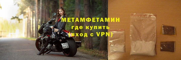 гидра Богородицк