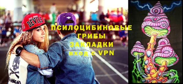 гидра Богородицк