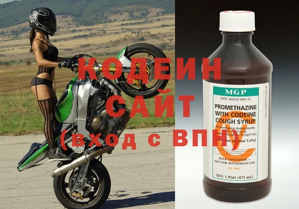 прущие грибы Богородск