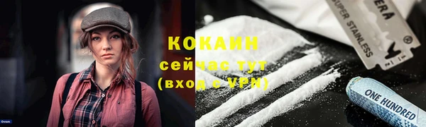 гидра Богородицк