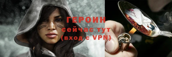 гидра Богородицк
