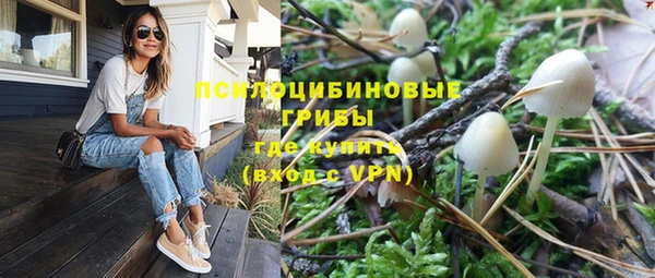 гидра Богородицк