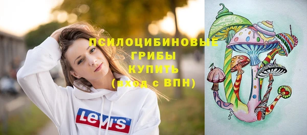 прущие грибы Богородск