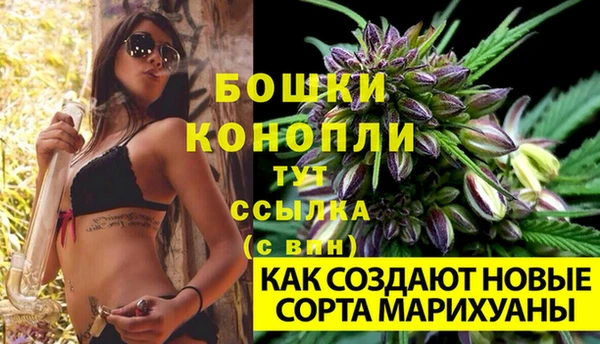 гидра Богородицк