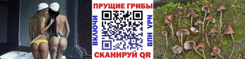 Галлюциногенные грибы мицелий  Назарово 